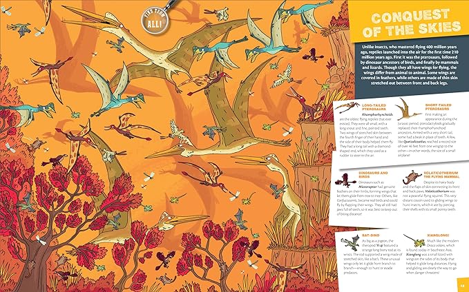 Seek & Find - Dinosaurs Hardcover – Illustrated